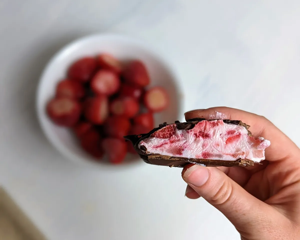 Strawberry Yogurt Bites